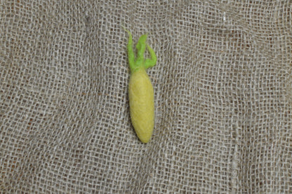 ブローチ野菜(16種類)